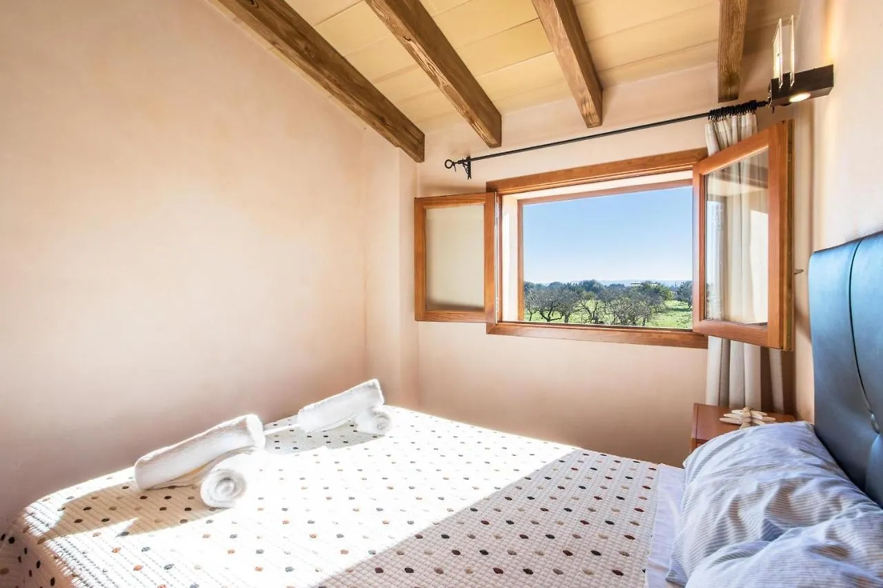 Villa Capo Búger 0*,  Spagna