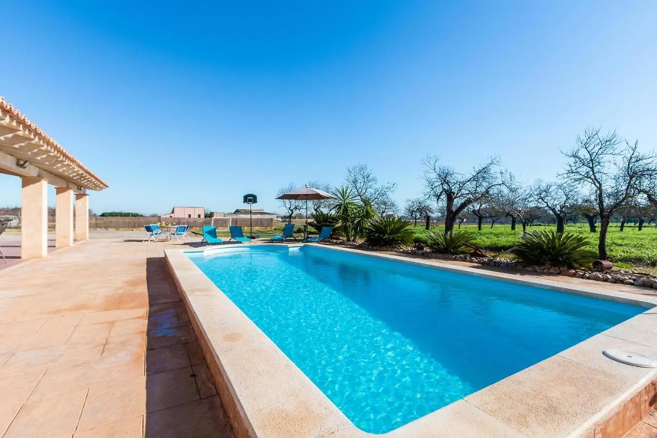 Kontakt z Villa Capo